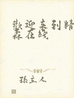 欢迎来到精灵之森在线