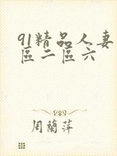 91精品人妻一区二区六