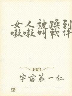 女人被躁到高潮嗷嗷叫软件