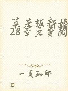 菜老板新婚妻子28章免费阅读最新章节