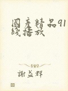 国产精品91在线播放