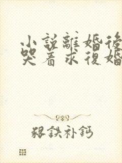 小说离婚后前夫哭着求复婚txt下载封面