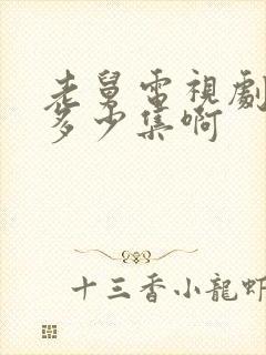 老舅电视剧一共多少集啊