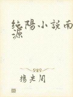 纯阳小说南北宗源封面