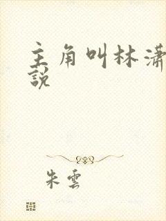 主角叫林潇的小说