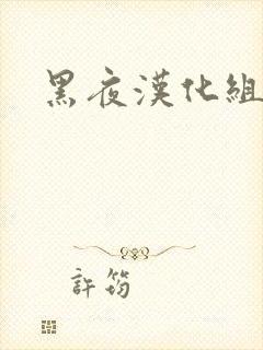 黑夜汉化组