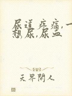 尿道疼痛,一直想尿,尿血