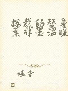 总裁的替身前妻叶非墨温暖