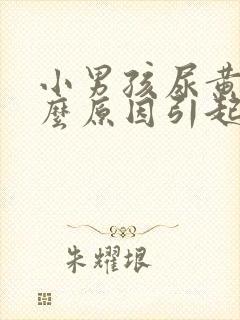 小男孩尿黄是什么原因引起的