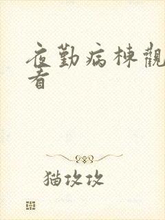 夜勤病栋观动漫看