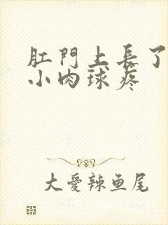 肛门上长了一个小肉球疼