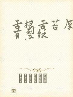 舌根舌苔厚黄腻有裂纹