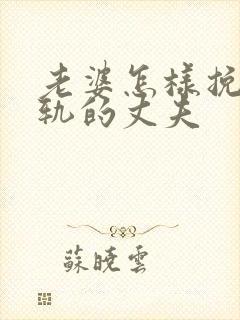 老婆怎样挽回出轨的丈夫封面