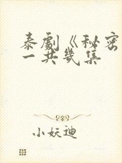 泰剧《秘密爱》一共几集