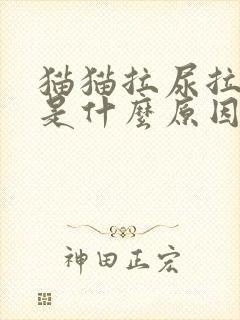 猫猫拉尿拉出血是什么原因