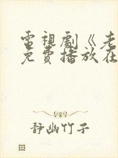 电视剧《老舅》免费播放在线观看