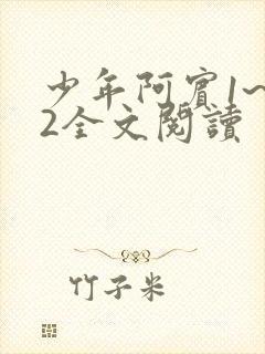 少年阿宾1~72全文阅读