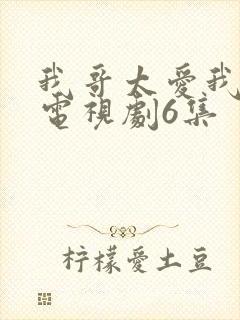 我哥太爱我了2电视剧6集封面