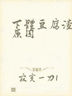 下体豆腐渣白带原因封面