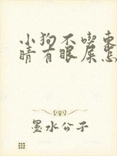 小狗不吃东西眼睛有眼屎怎么办