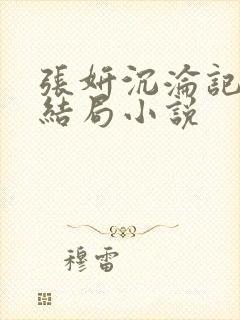 张妍沉沦记续写结局小说封面