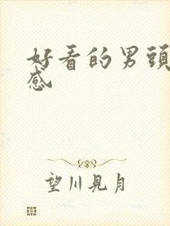 好看的男头氛围感