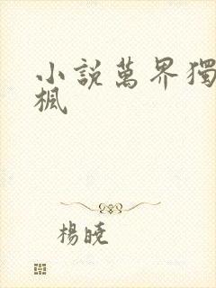 小说万界独尊林枫