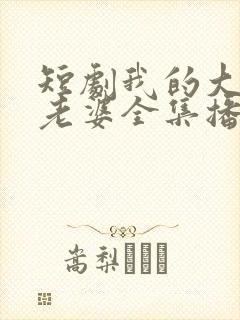 短剧我的大小姐老婆全集播放
