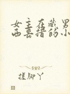 女主在藏男主扎西嘉措的小说