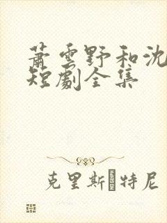 萧云野和沈昭宁短剧全集