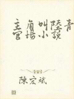 主角叫陆青云的官场小说封面