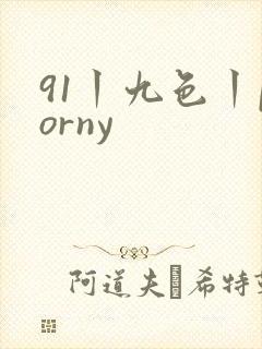 91丨九色丨porny