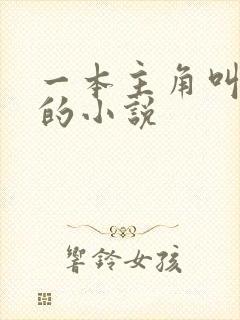 一本主角叫林洛的小说