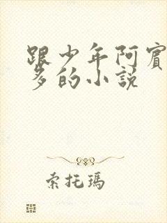 跟少年阿宾差不多的小说