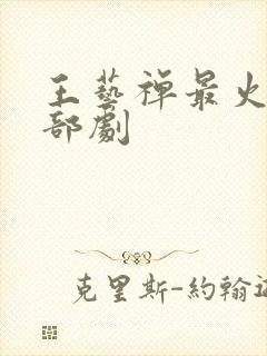 王艺禅最火的三部剧