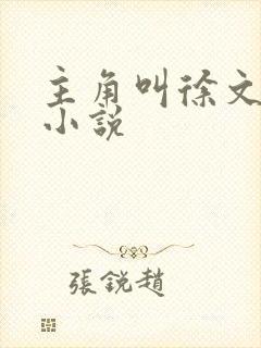 主角叫徐文栋的小说封面