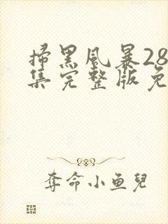 扫黑风暴28全集完整版免费