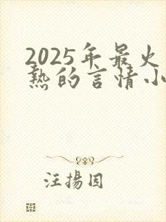 2025年最火热的言情小说