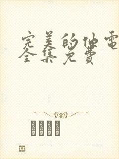 完美的他电视剧全集免费