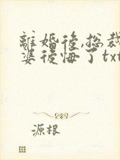 离婚后,总裁老婆后悔了txt下载全本