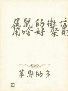 属鼠的微信头像用啥好 聚财