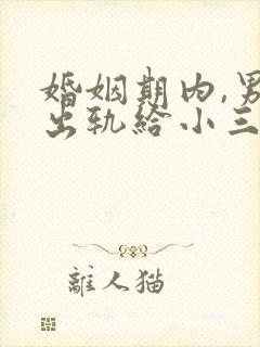 婚姻期内,男方出轨给小三的钱怎么追回