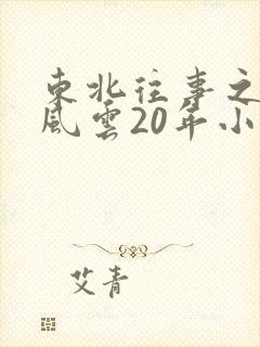 东北往事之黑道风云20年小说