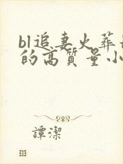 bl追妻火葬场的高质量小说