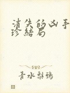 消失的凶手宋玉珍结局封面