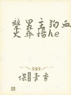 双男主狗血追妻火葬场he