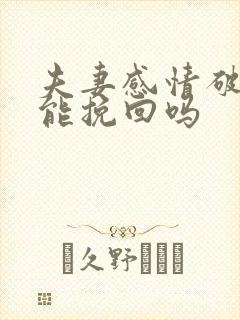 夫妻感情破裂还能挽回吗