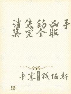 消失的凶手16集完全版