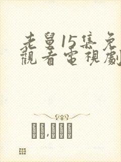 老舅15集免费观看电视剧