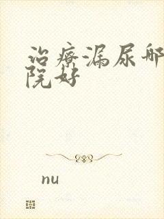 治疗漏尿哪家医院好